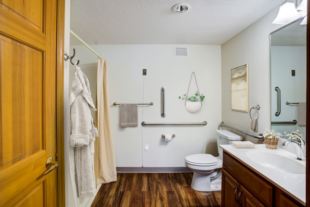 An accessible bathroom with grab bars, a shower, and wooden flooring.
