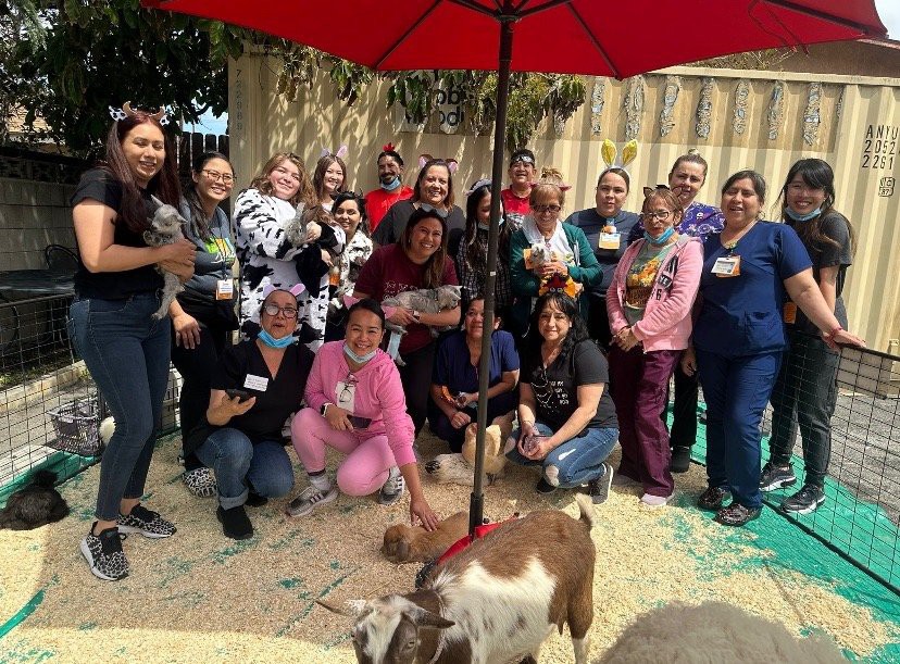 A group of people gathered outdoors with a goat under a red umbrella, enjoying a fun moment together.