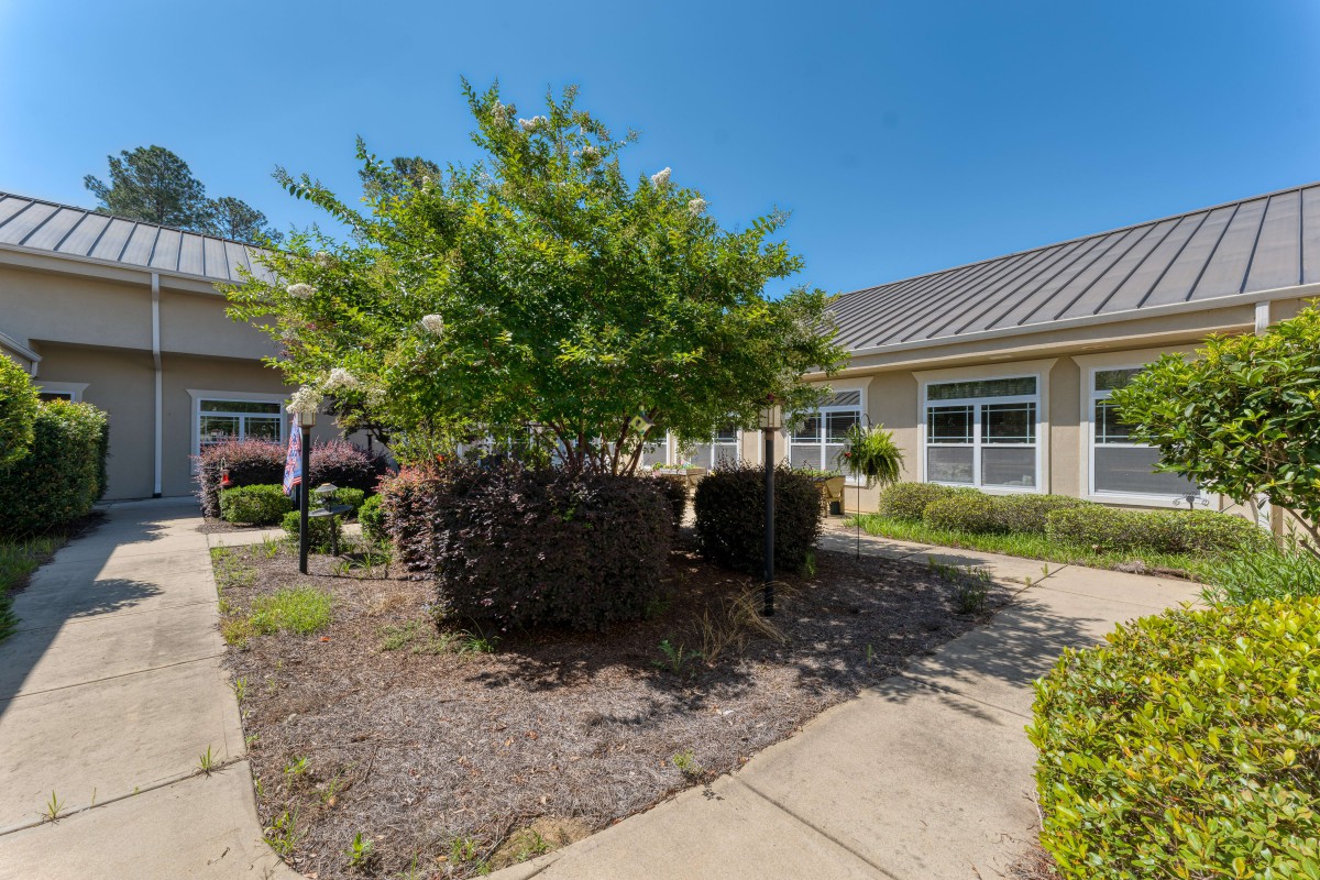 A sunny outdoor garden area with a pathway surrounded by bushes and trees in front of a building.