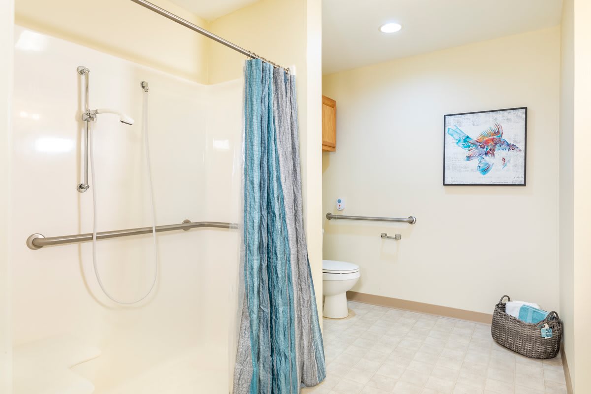 An accessible bathroom equipped with a shower, handrails, and a toilet.