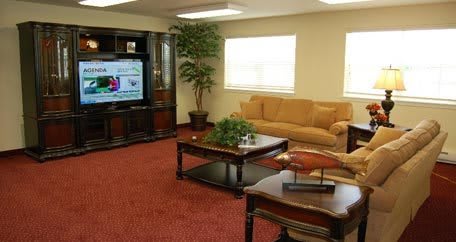 A cozy living room with a sofa, coffee table, television, and an indoor plant.