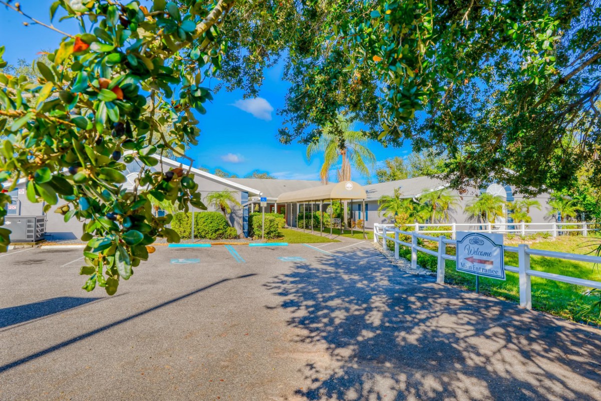 A sunny driveway leading to a house surrounded by lush greenery and a white fence.