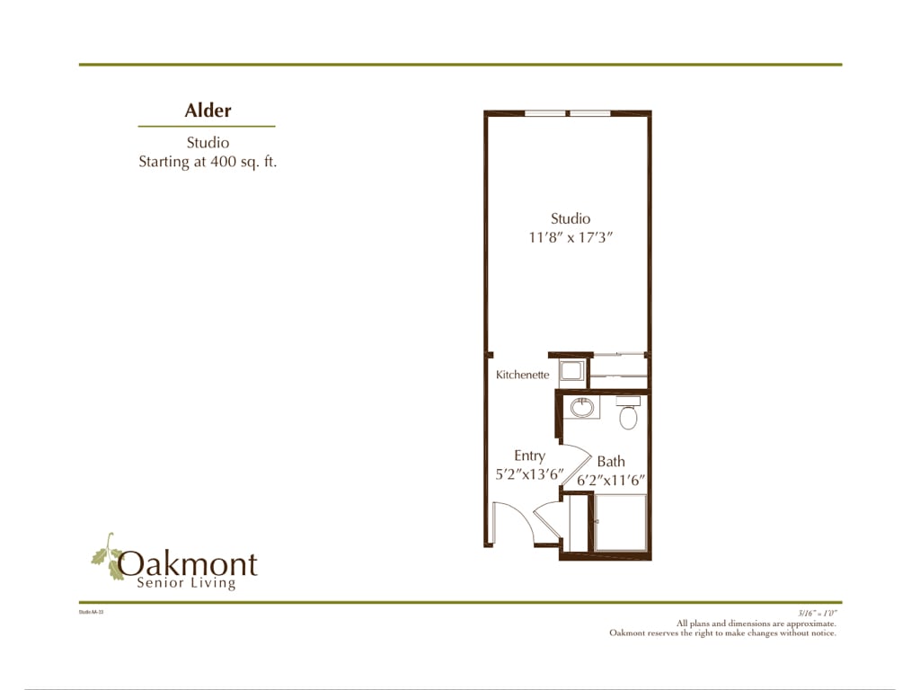 Studio apartment floor plan for Alder, showing a total area of 450 sq. ft.