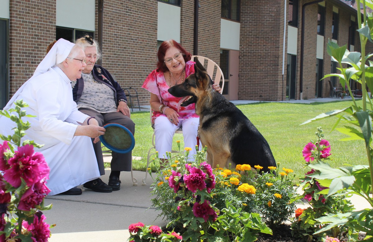 A group of people sitting outside with a German Shepherd in front of a flower garden.