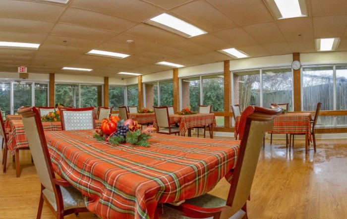 A cozy dining room with checkered tablecloths and bright natural lighting.