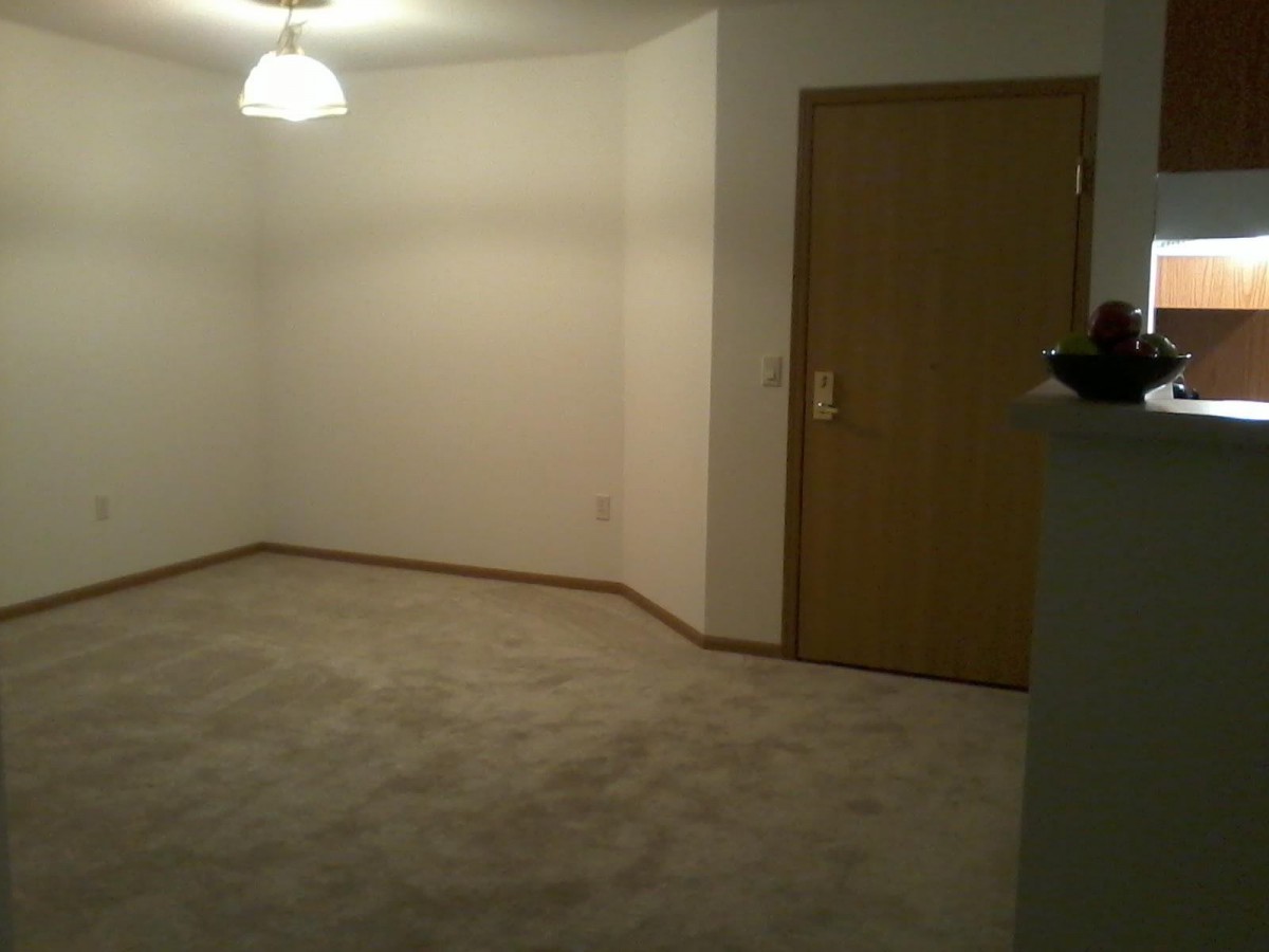 An empty room with carpet flooring, a wooden door, and a ceiling light fixture.
