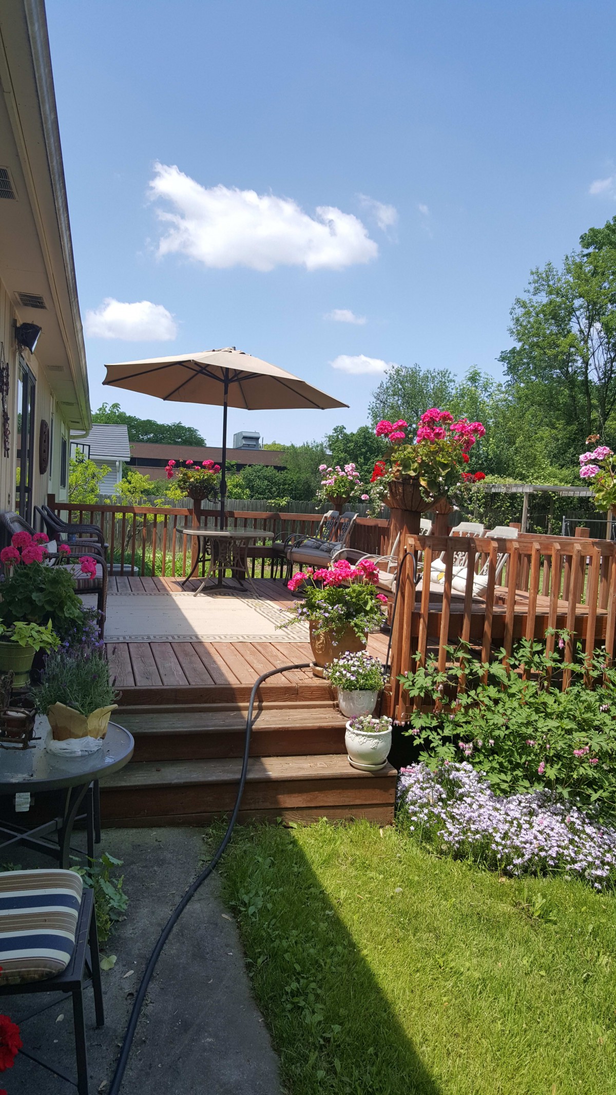 A sunny backyard with a wooden deck, vibrant flowers, and patio furniture under an umbrella.