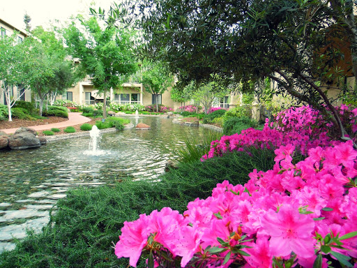 A serene view of a garden adorned with vibrant pink flowers next to a tranquil pond.