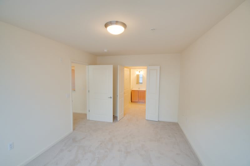 A bright and empty bedroom with carpet flooring and an open door leading to a closet.