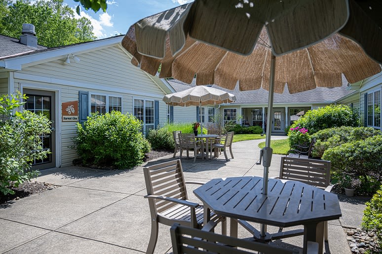A sunny patio area with tables, chairs, and umbrellas surrounded by greenery.