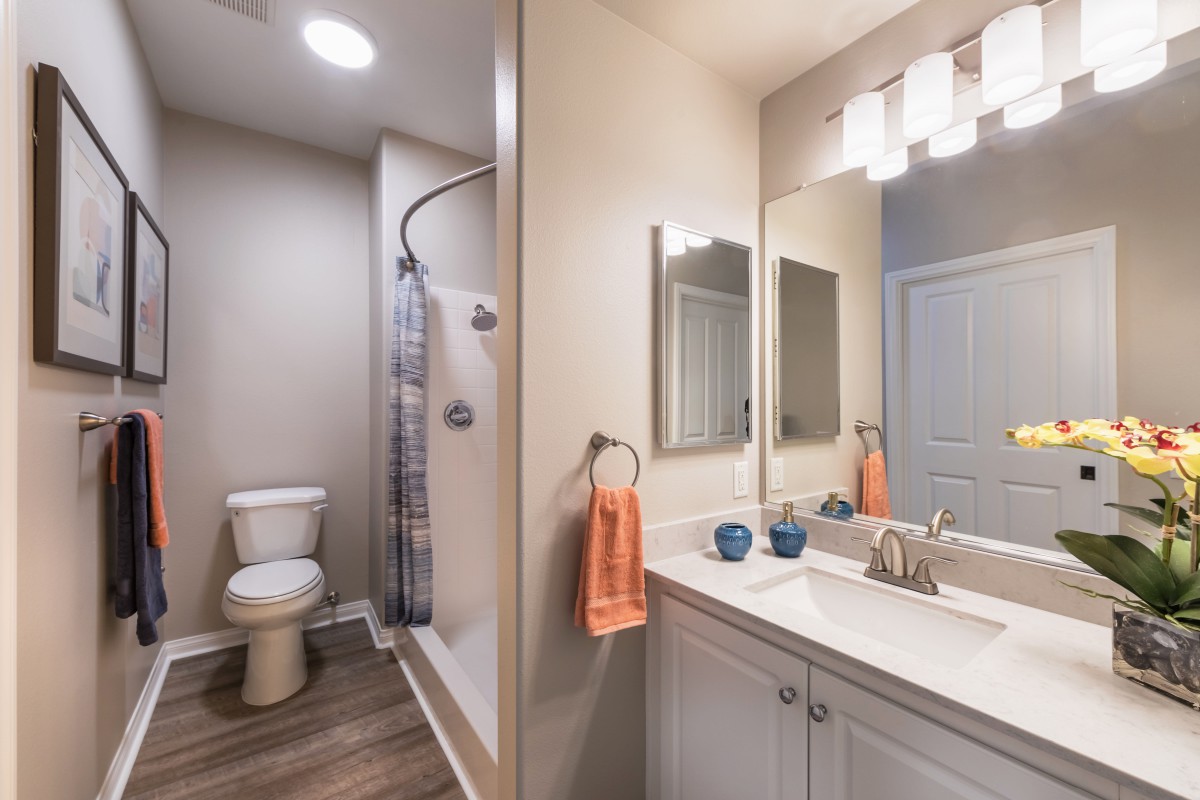 A modern bathroom featuring a sink with a mirror, shower, and toilet with decorative lighting.