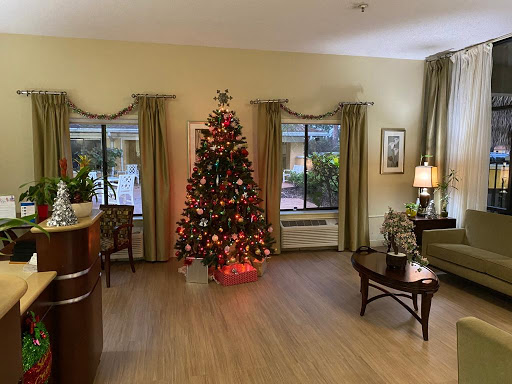 A beautifully decorated living room featuring a festive Christmas tree, creating a warm holiday ambiance.