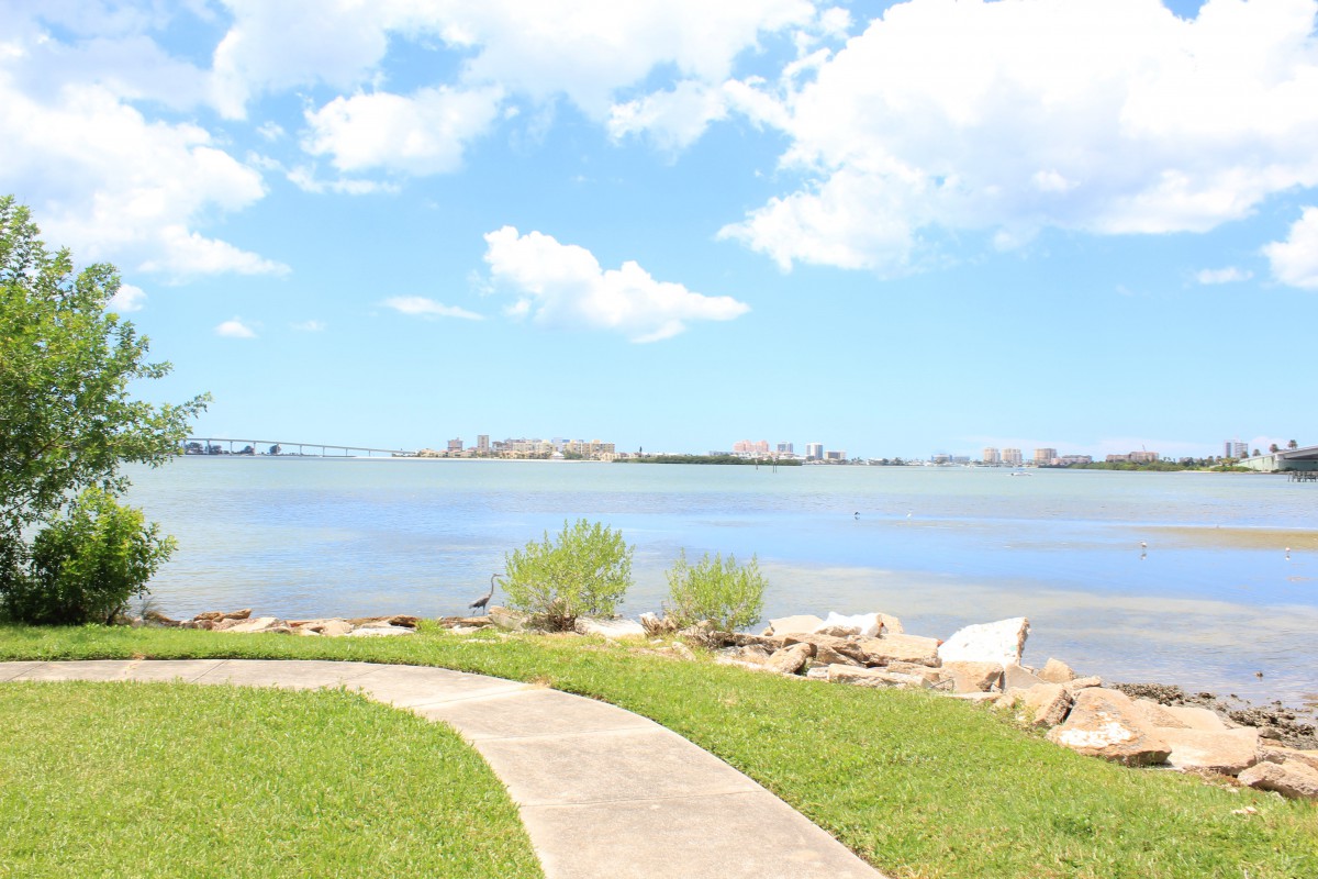 A serene view of a lakeside pathway under a bright, cloudy sky.