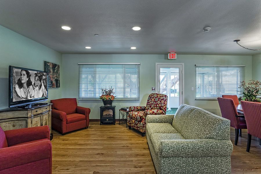 A cozy living room with various chairs and a sofa arranged around hardwood floors, featuring large windows that let in natural light.