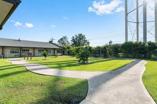 A serene view of a well-maintained garden with a house in the background under a clear blue sky.