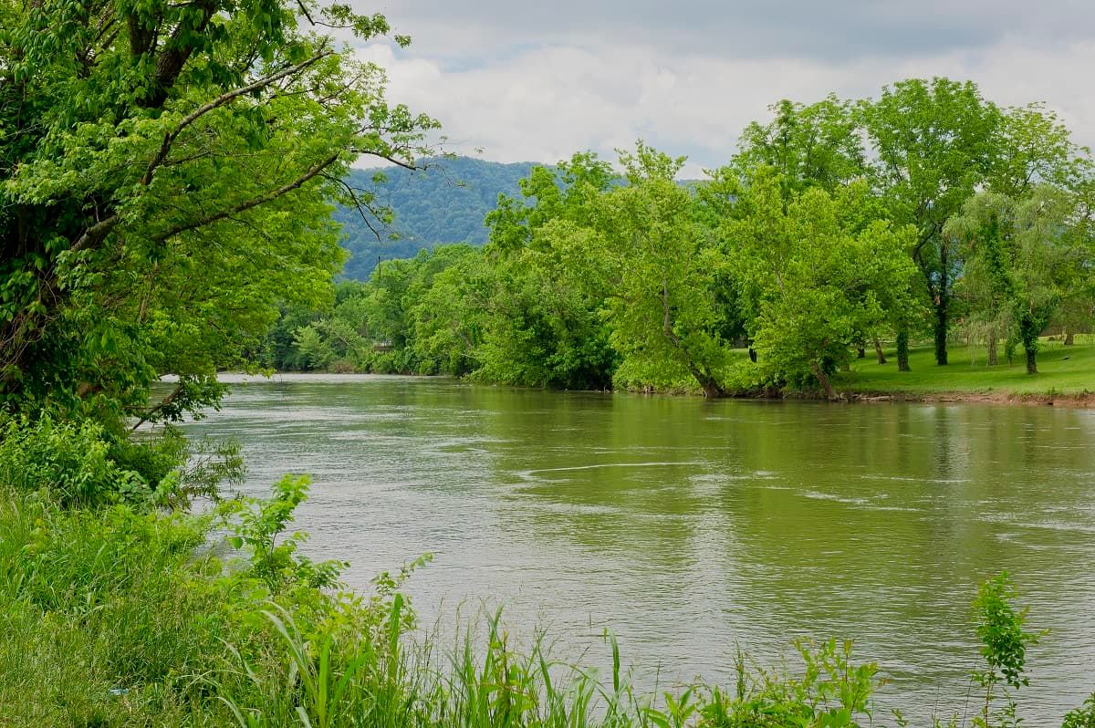 A serene view of a river surrounded by lush green trees and distant hills.