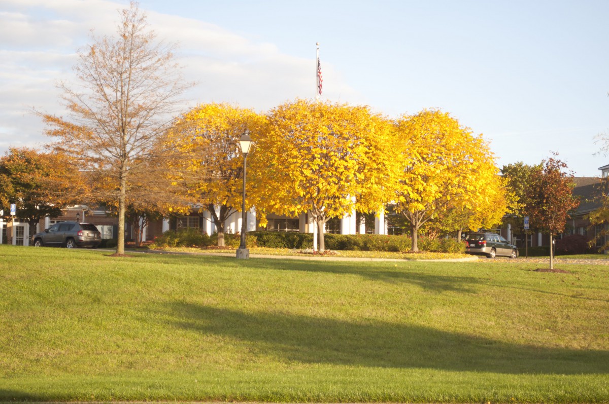 The Willows At Meadow Branch