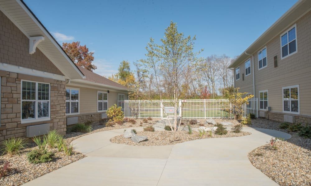 Violet Springs Health Campus