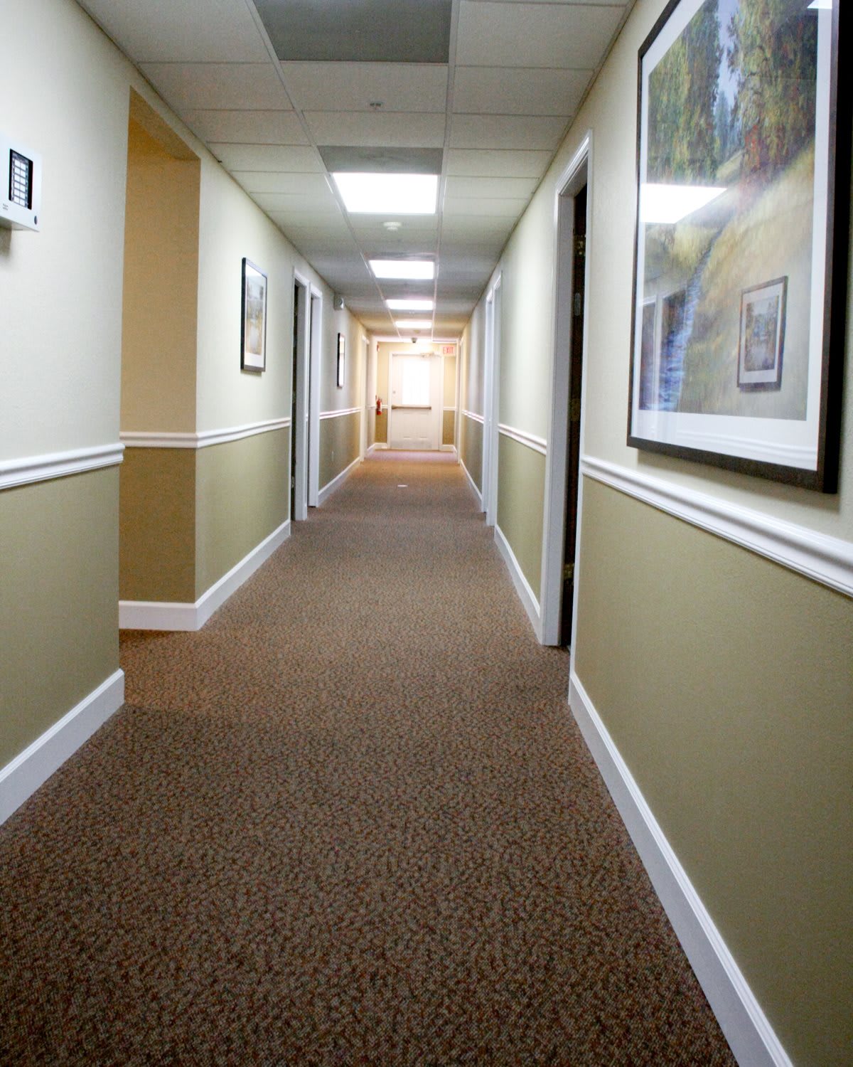Long, well-lit hallway with carpet and framed pictures on the walls.