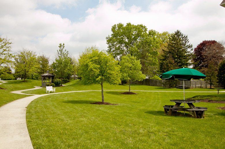 A serene park scene with a grassy area, trees, and a pathway leading through the landscape.