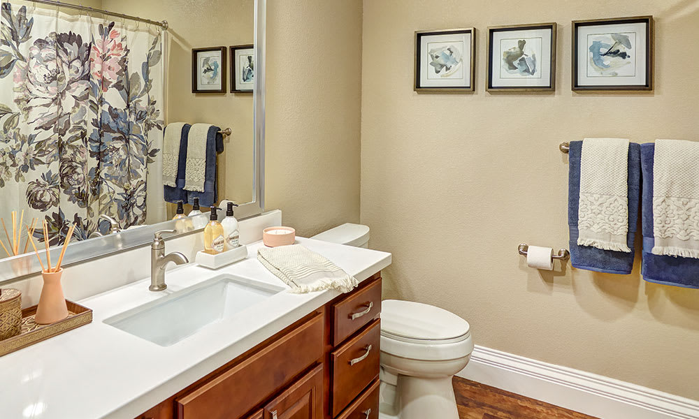 A neatly organized bathroom with a sink, toilet, and decorative wall art.