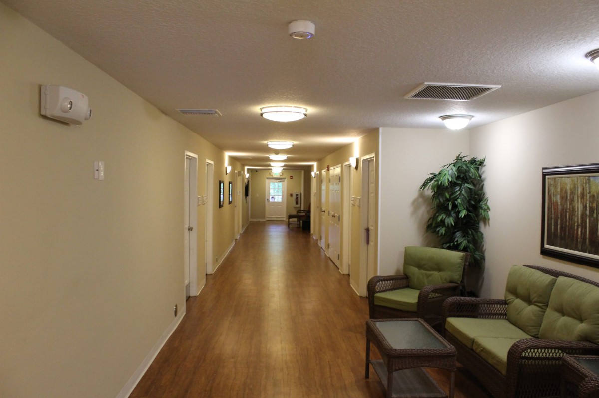 A well-lit hallway with chairs and plants along the sides, featuring wooden flooring and multiple doors.