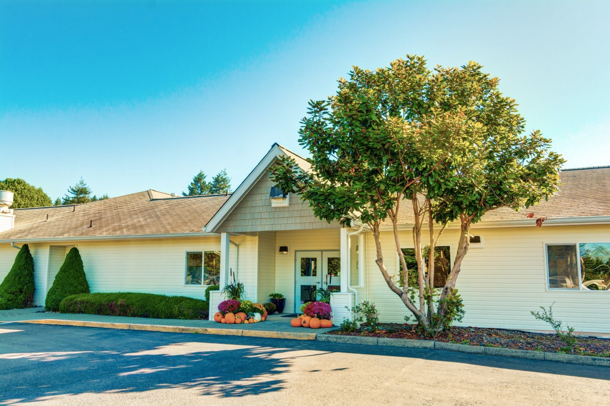 A suburban house with a tree in the front yard under a clear blue sky.