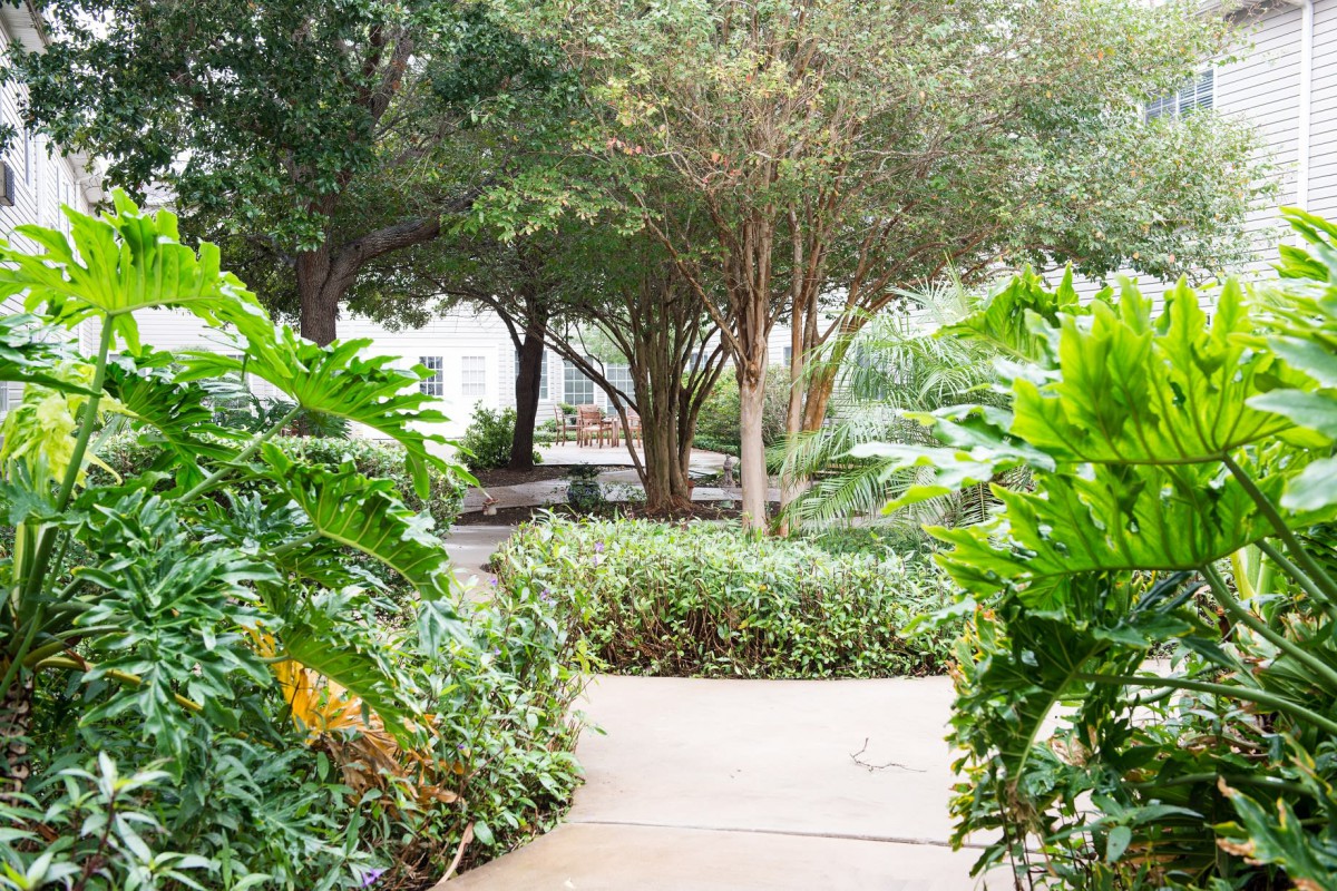 A serene garden pathway surrounded by lush greenery and trees.