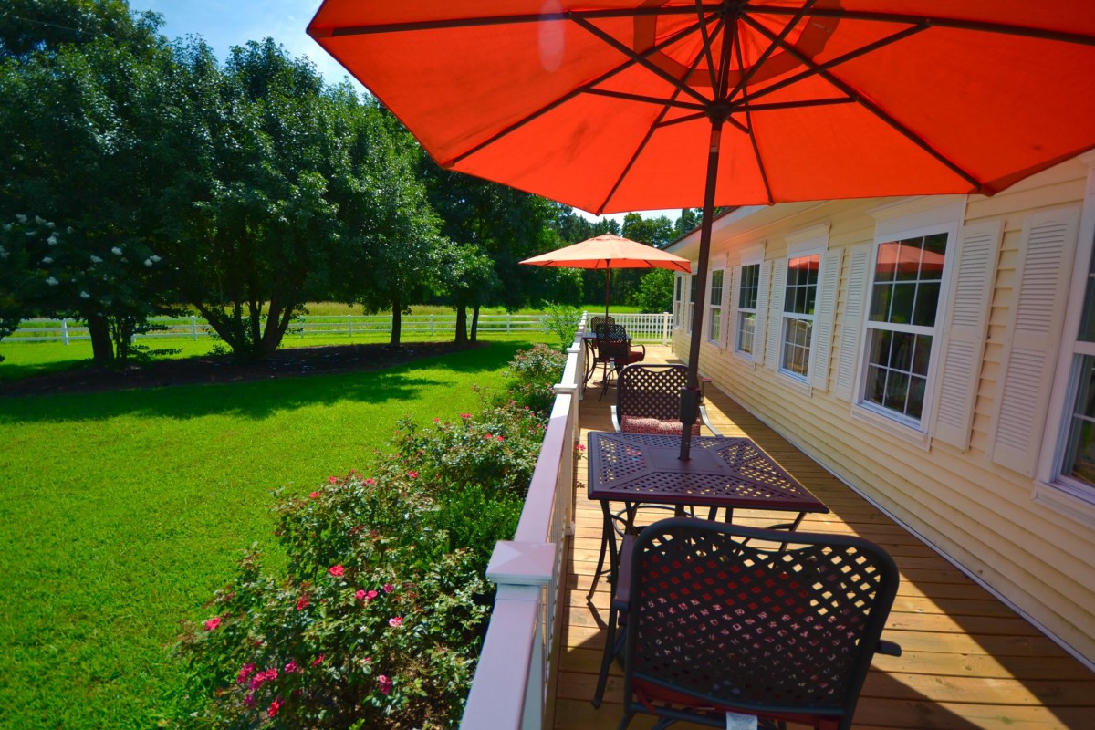 A peaceful patio with outdoor seating and umbrellas overlooking a lush garden.