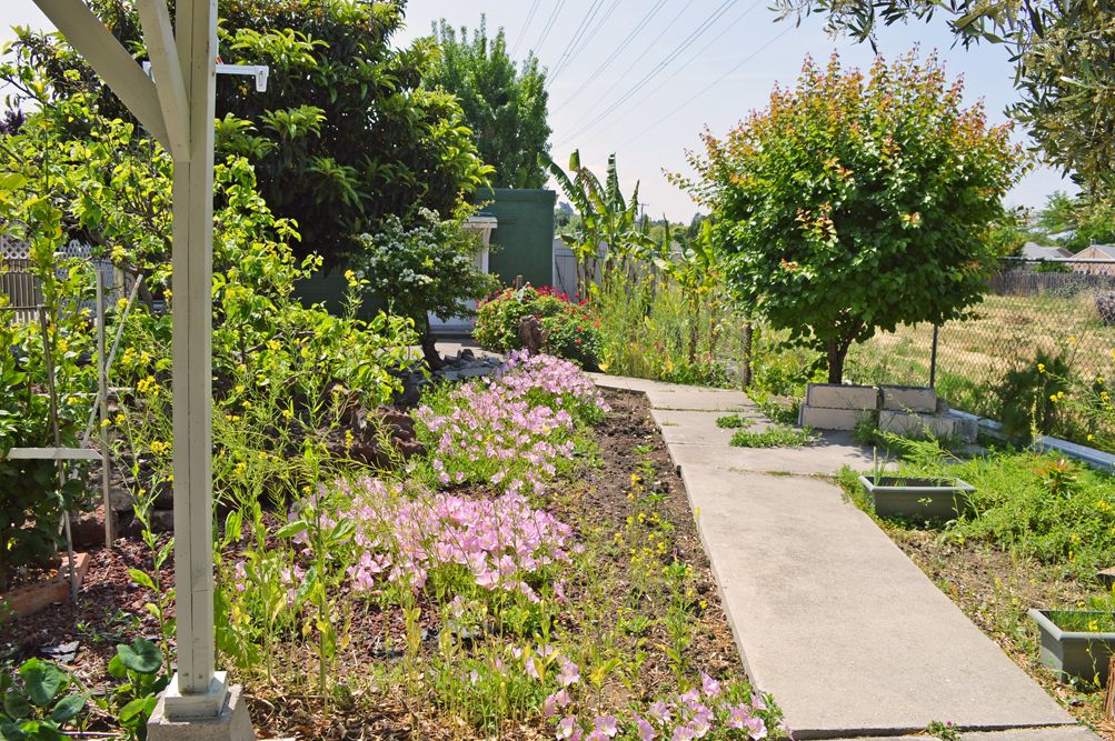 A tranquil garden pathway lined with blooming flowers and trees, featuring a bench for relaxation.