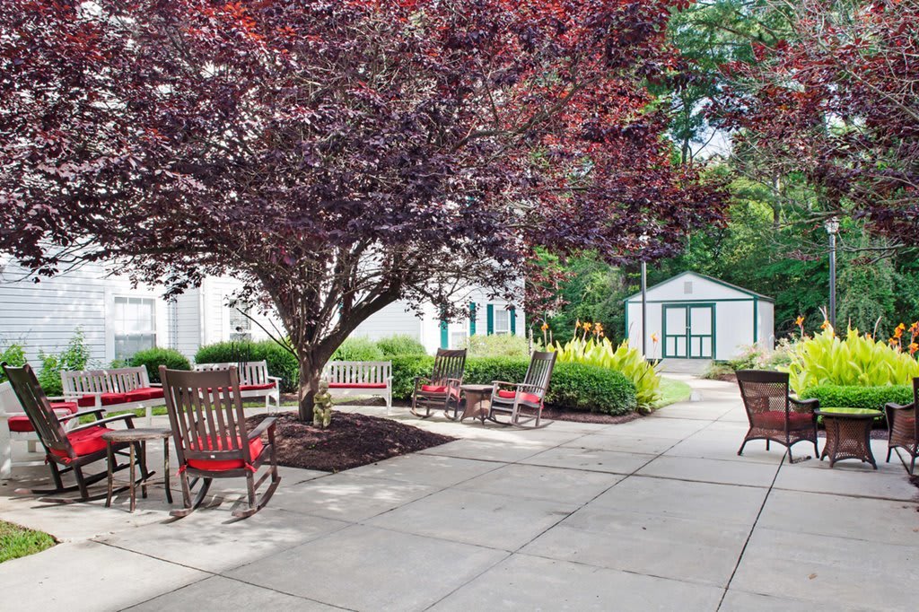 A serene outdoor garden area featuring a tree with purple foliage, surrounded by patio furniture and a small building in the background.