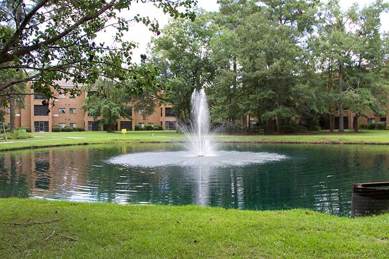 A tranquil pond with a central fountain surrounded by lush greenery and trees.