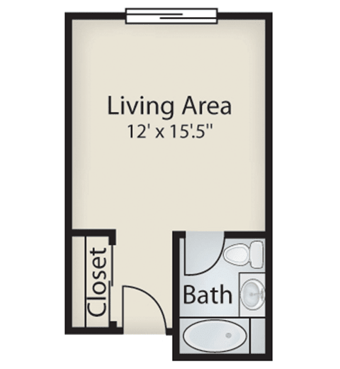 Studio apartment layout with a living area, closet, and bathroom.