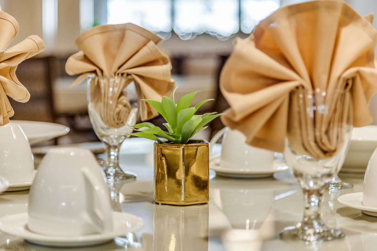 A beautifully arranged dining table with elegant napkin folds and a small potted plant centerpiece.