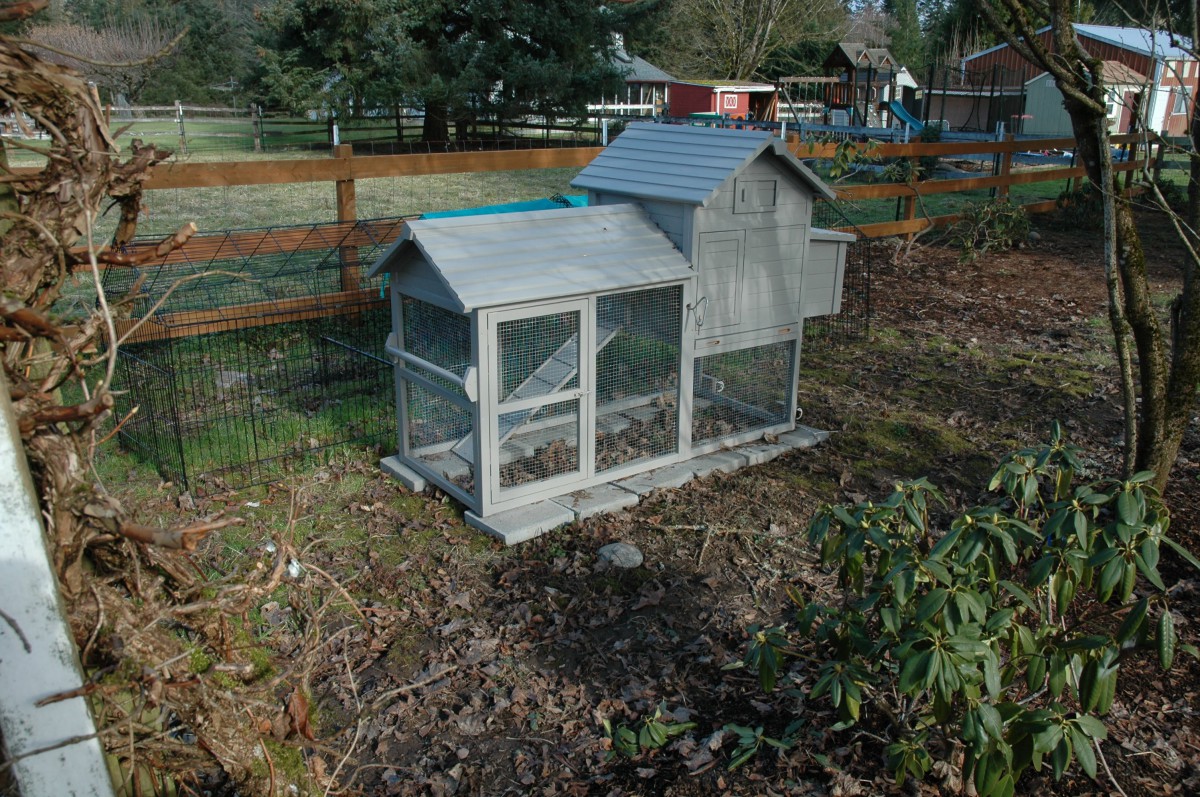 A small chicken coop in a backyard garden area surrounded by a wooden fence.