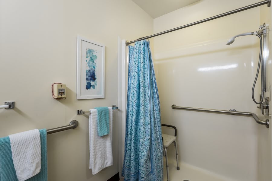 A bathroom with a blue shower curtain and matching towels, equipped with safety grab bars and adorned with wall art.