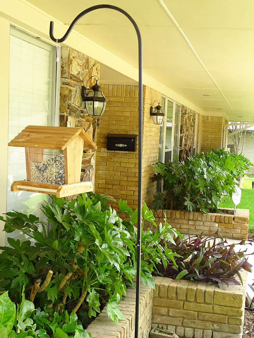 A cozy porch with a bird feeder and lush plants against a brick wall.