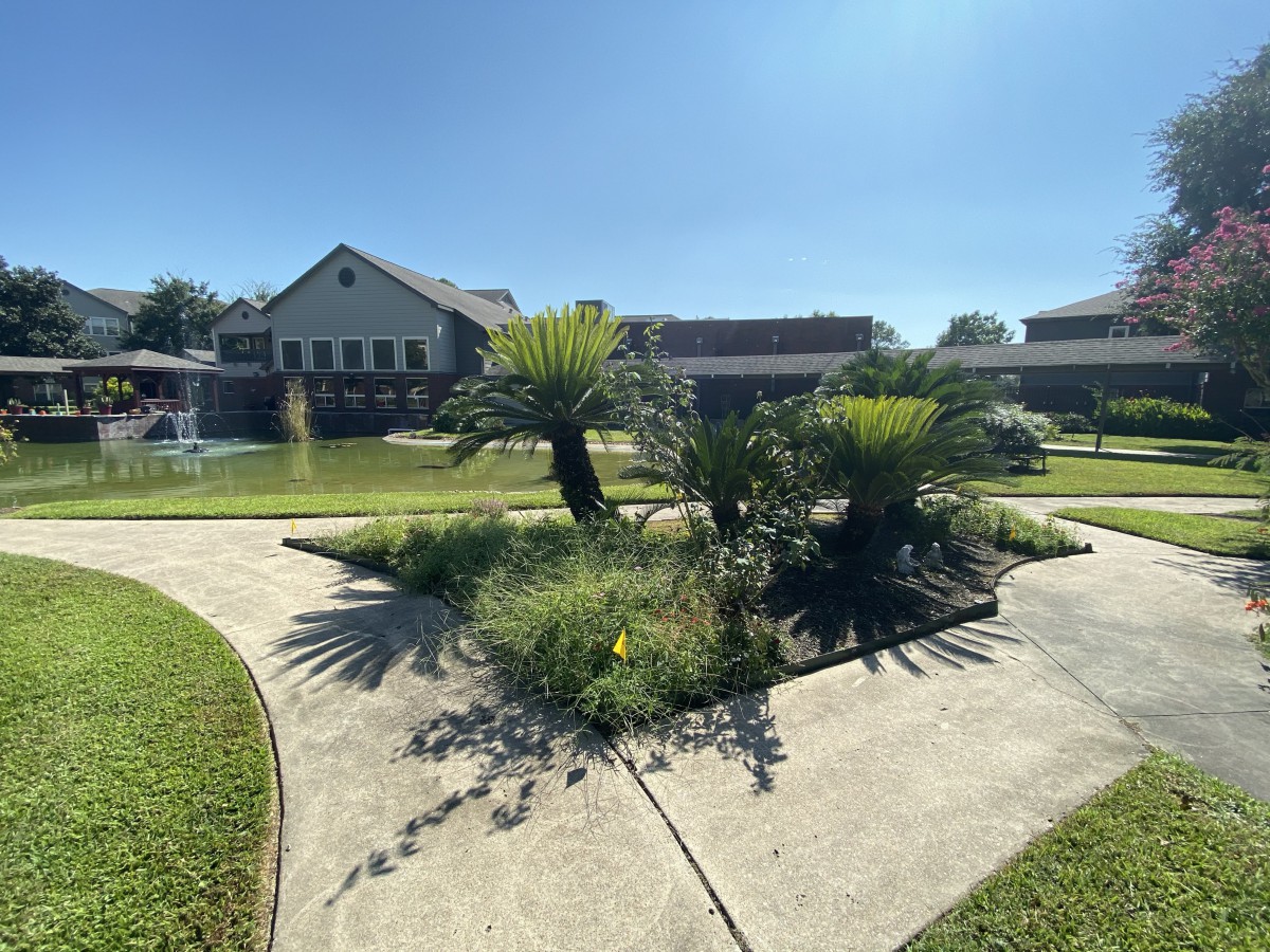 A sunny day view of a landscaped area with palm trees and a pathway leading to a building.