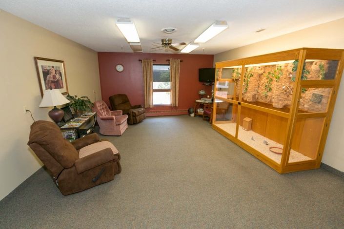 A cozy living room with recliners and a TV, featuring a display cabinet and ample natural light.