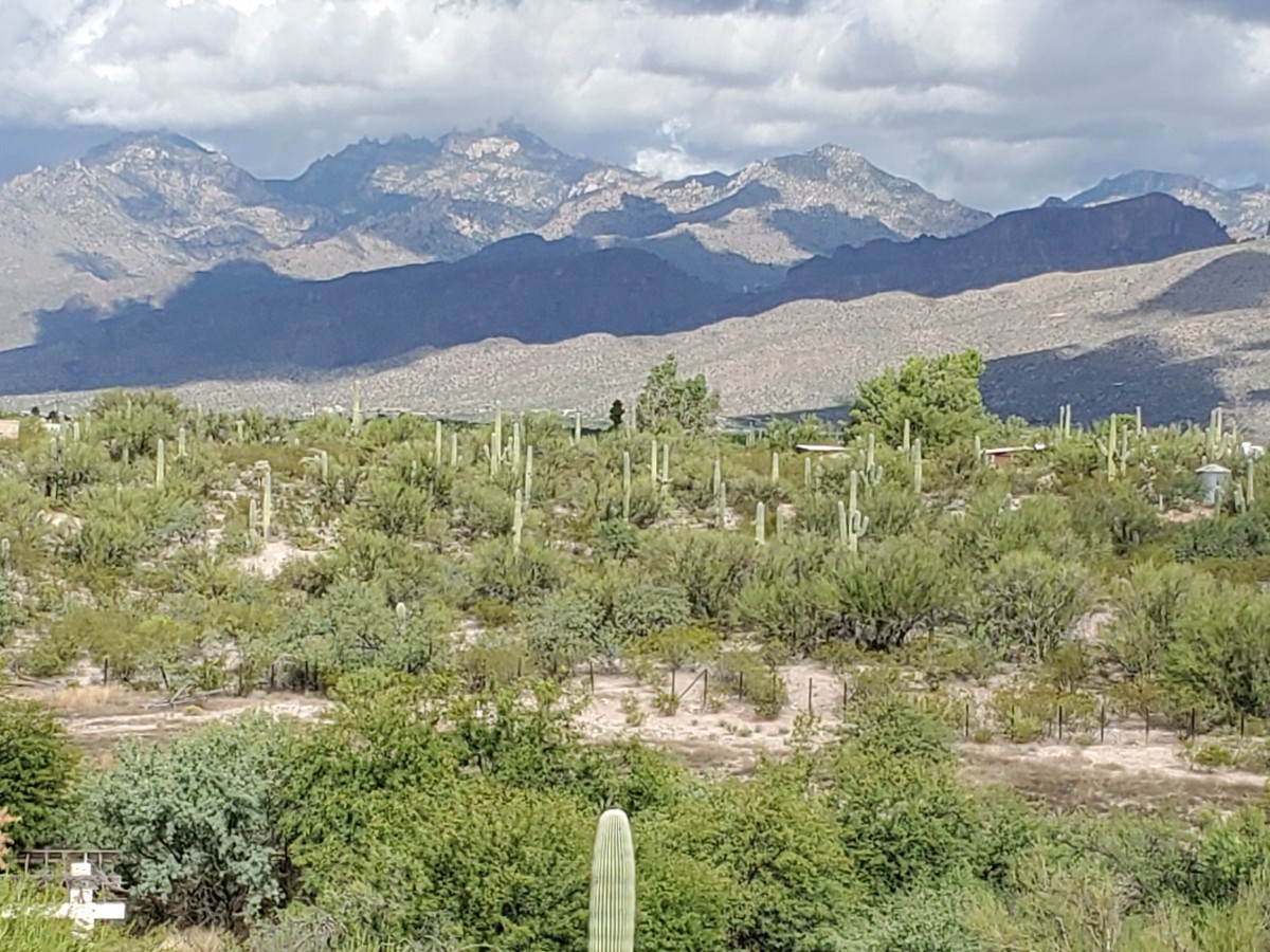 A scenic desert landscape with cacti and mountains under a cloudy sky.