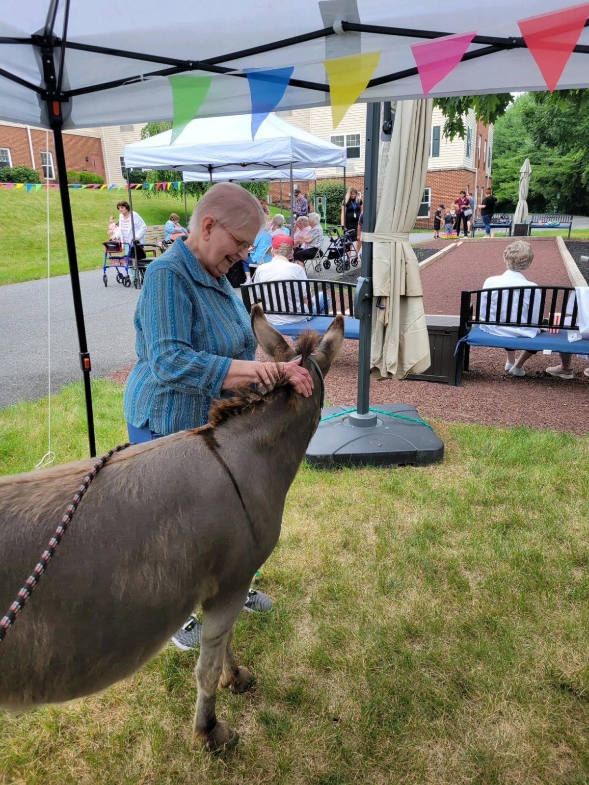 A person interacts with an animal outdoors at an event.