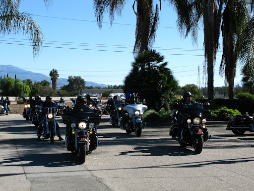 A group of motorcycles cruising under the sunny sky, surrounded by palm trees and mountains in the distance.