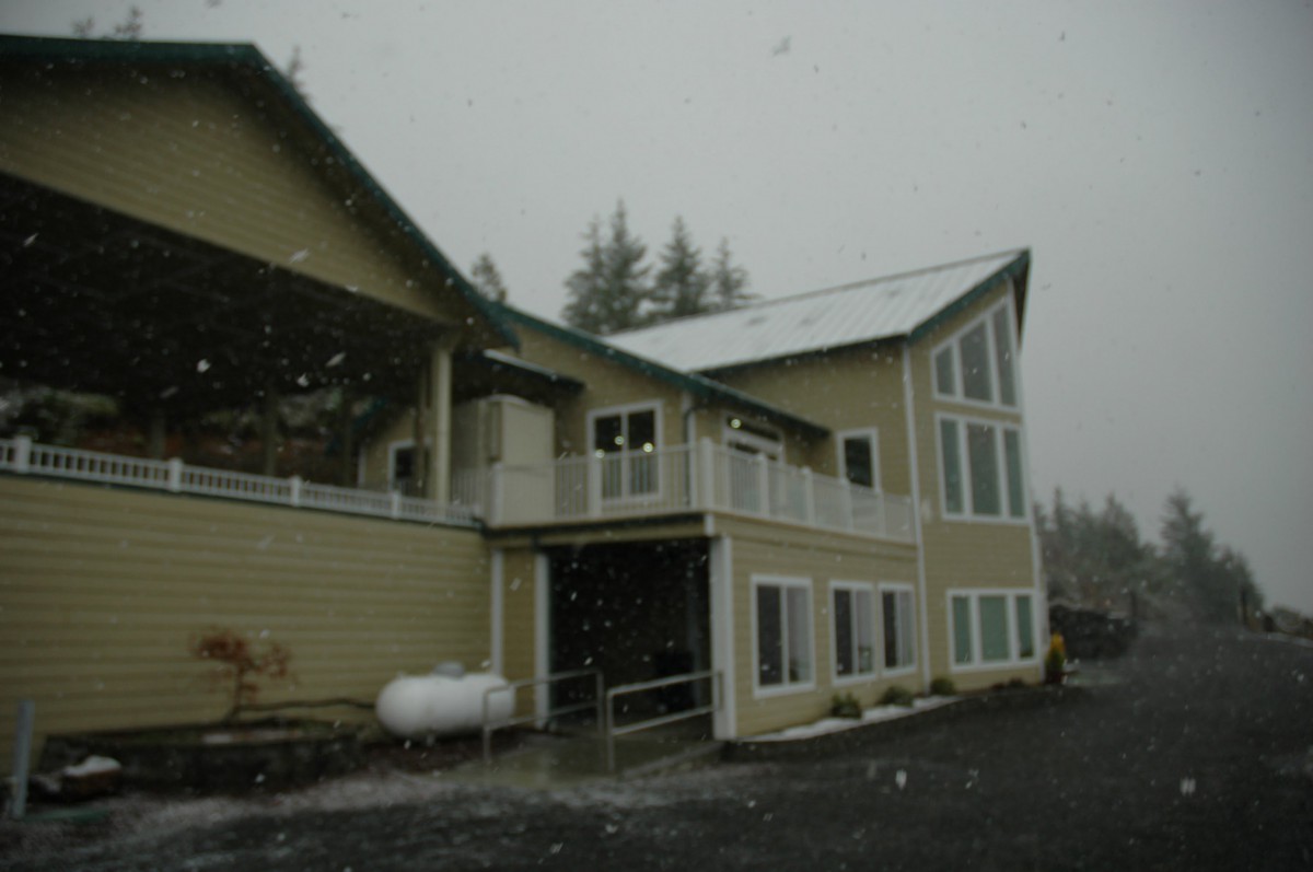 A residential house with snow falling around it under an overcast sky.