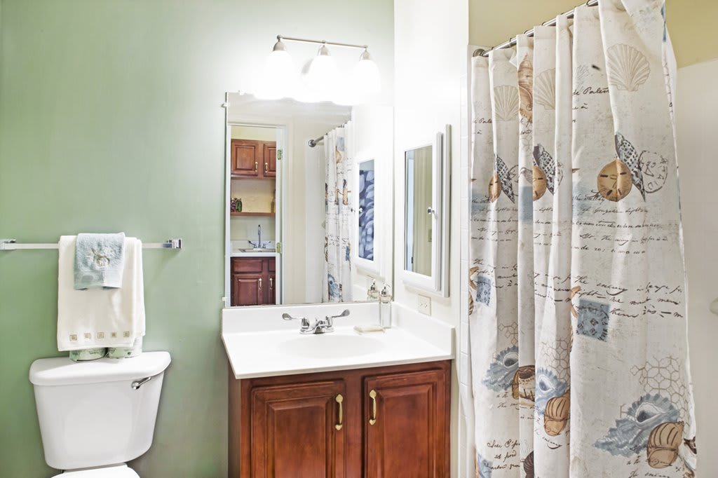 A clean and well-lit bathroom featuring a vanity with a mirror, a toilet, and a shower with a decorative curtain.