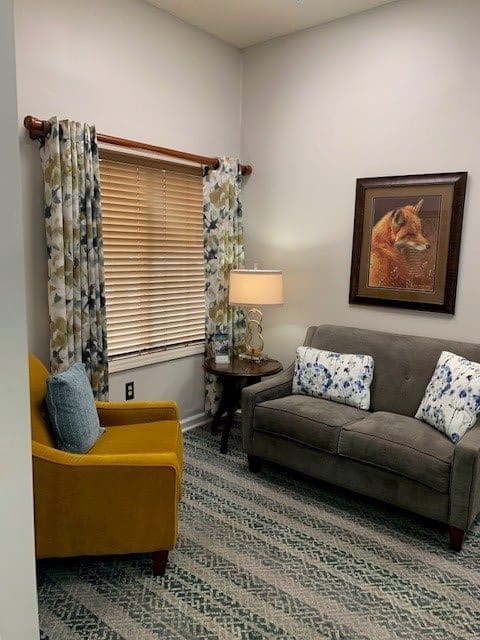A cozy living room with a sofa, armchair, and decorative elements.