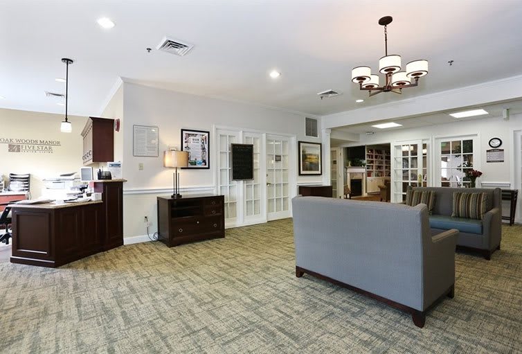 A cozy living room with a sofa, chandelier, and decorative elements.