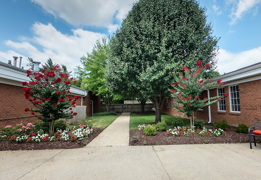 A serene walkway surrounded by vibrant flowers and lush greenery.