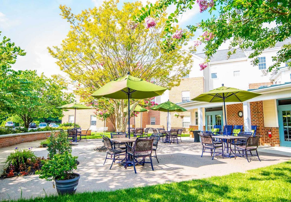 A sunny patio area with tables, chairs, and green umbrellas surrounded by lush trees.