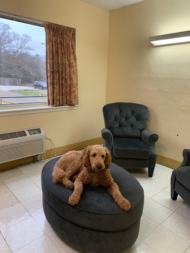 A fluffy dog relaxing on an ottoman in a cozy lounge area.