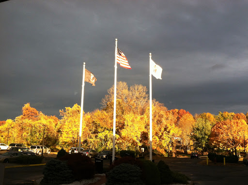 Flags standing tall against an autumn backdrop, with dark clouds looming overhead.